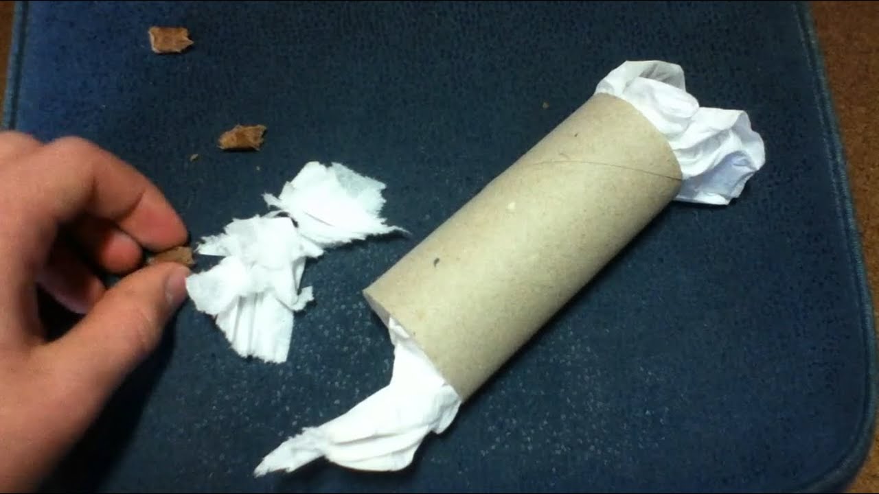 Katzenspielzeug aus Klopapierrolle selber machen - YouTube