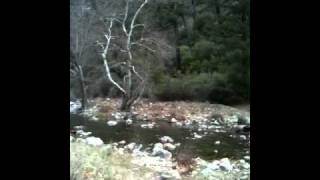 video2.mov: Rose Valley - Middle to East Lions Camps