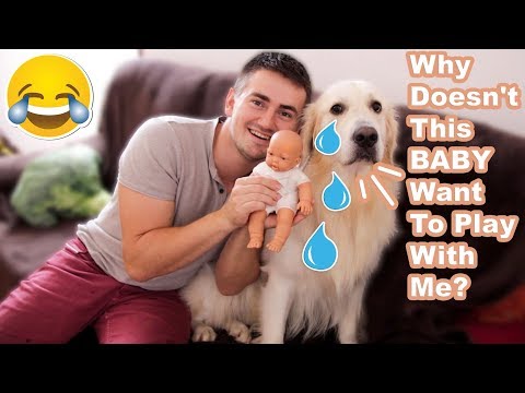Funny Dog Reacts to a Fake Baby