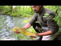 Pêche à la mouche  / fly fishing (HD)