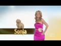 The Real Housewives Of New York City S4 Opening - Youtube