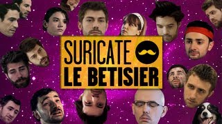 SURICATE - Le bêtisier