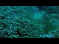 Onefish Spearfishing Episode 4 - Huge Wahoo and Cubera!