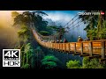 UNBELIEVABLE 4K 120fps HDR Video - Dolby Vision (8K  4K TV)