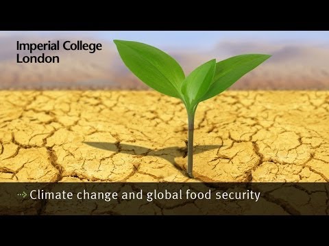 A Grantham Special Lecture by Professor Martin Parry, Grantham Institute and Centre for Environmental Policy, Imperial College London

Climate change could lead to hundreds of millions of people being at risk of hunger by the middle of this century. This is in addition to the billion or so currently at risk.

Several new studies are just being completed of the potential effects of climate change on global food production potential, and there is a convergence of evidence about the scale and regional distribution of the challenge:   Most of the additional climate-change driven hunger will be in the least developed parts of Africa, but significant numbers could also occur in south and south-east Asia.  In all regions, the poor, young and elderly are likely to be most affected. 

International negotiations as part of the UNFCCC have set a very ambitious spending target of about $50bn per annum to be available for adaptation for all sectors and, assuming that a significant part of this is spent on agriculture, the impacts of climate change can probably be substantially reduced.  But it is unlikely that major effects can be avoided for current trends in economic development. 

Only a major reduction in incidence of poverty would avoid significant damage.  This requires a transformation in development effort.

For more information please visit http://www.imperial.ac.uk/climatechange