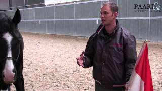 Interview Tristan Tucker - 3 tips over hoe om te gaan met kijkerige paarden