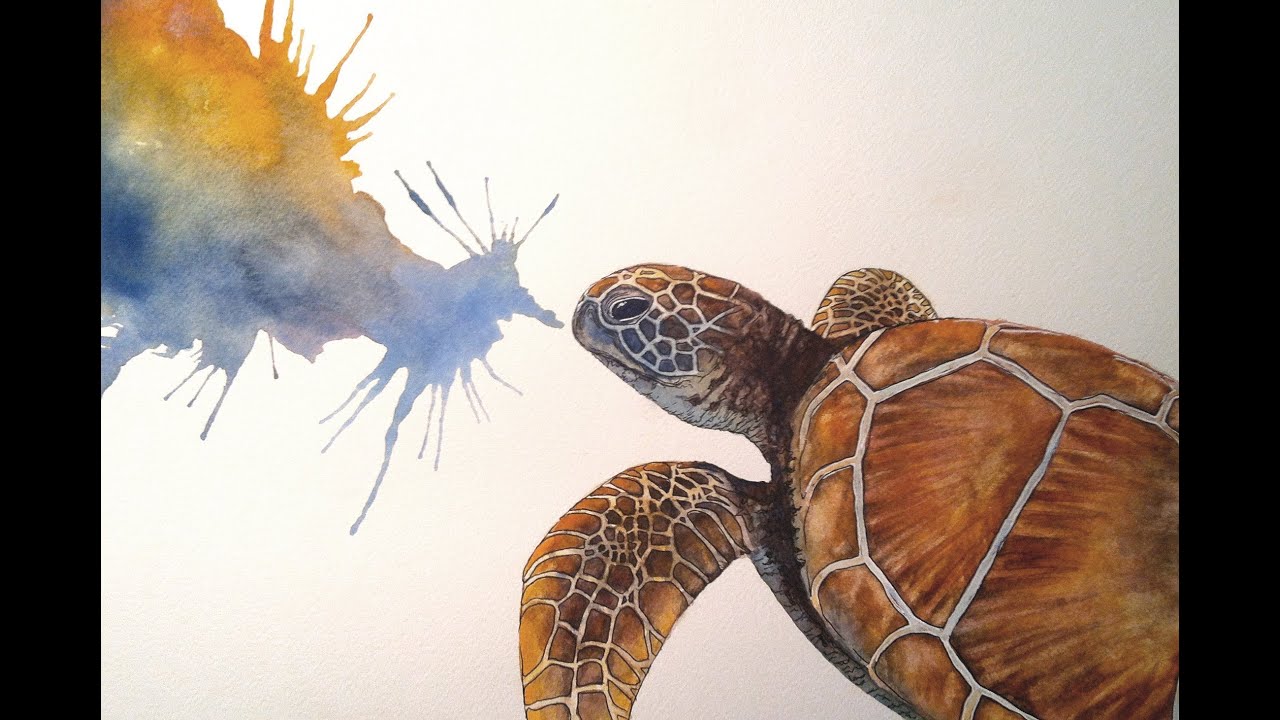 Speed painting watercolour - Sea Turtle - YouTube