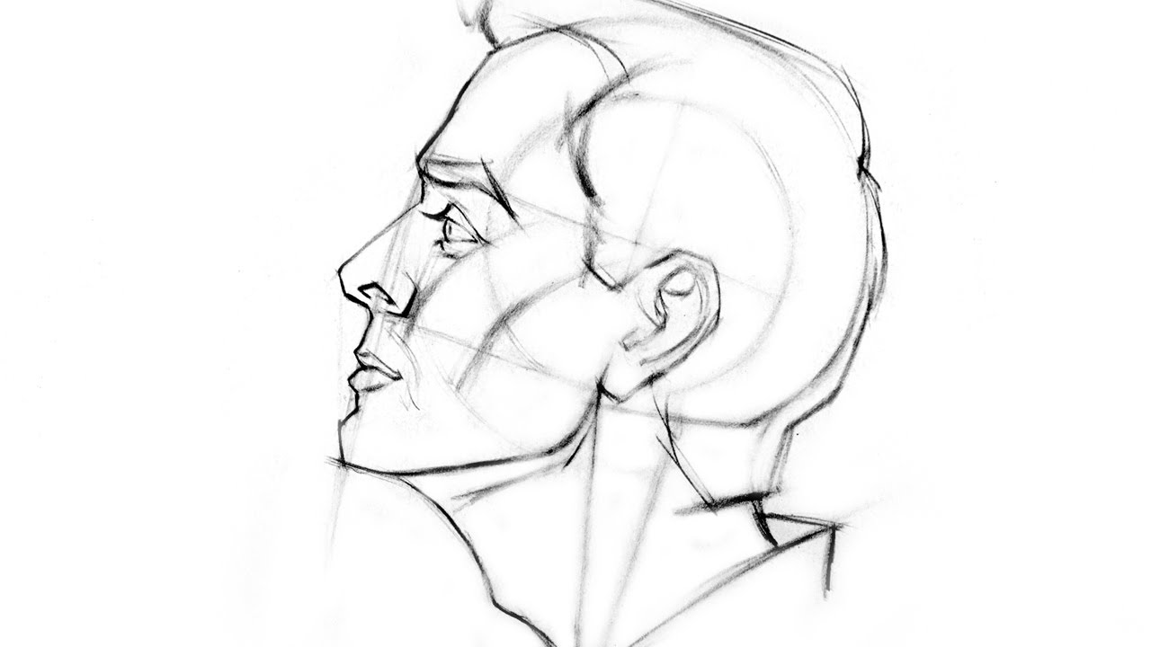 How to Draw the Head - Side View - YouTube