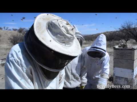 Dee Lusby Organic Beekeeper 2013