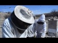 Dee Lusby Organic Beekeeper 2013