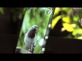 Flexibile, high definition CAAC-OS displays from SEL #DigInfo