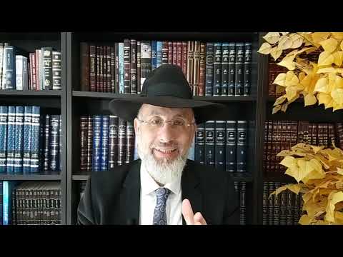 De Moshé Rabbénou a Rabbi Chiméon Bar Yohai Léïlouy nishmat de Eleazar Isidore ben Esther zal