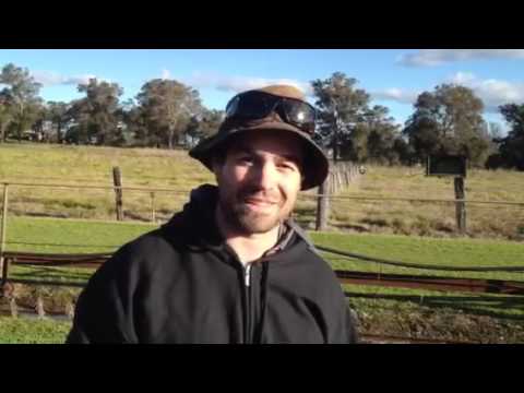 Herding @ Farmer Dave Dog Centre