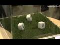 SONY Bio Battery- Electricity from Glucose