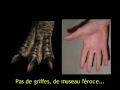 Part 1. Playdoyer pour le VegetaLisme / Myths of Veganism   English VO - sous-titré en Français