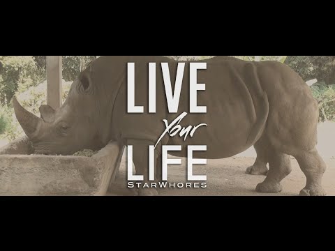 StarWhores - Live Your Life