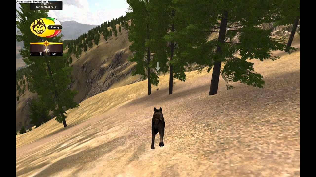 wolf quest pc game free download