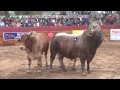 XXIX Concurso Nacional de Ganado Vacuno Engordado 2013