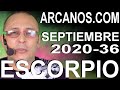 Video Horóscopo Semanal ESCORPIO  del 30 Agosto al 5 Septiembre 2020 (Semana 2020-36) (Lectura del Tarot)