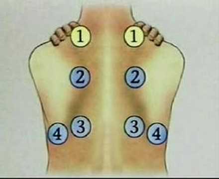 examination of the thoracic and respiratory system 3 - YouTube