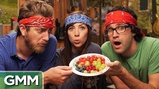 The Blind Berry Taste Test