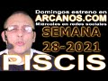 Video Horscopo Semanal PISCIS  del 4 al 10 Julio 2021 (Semana 2021-28) (Lectura del Tarot)