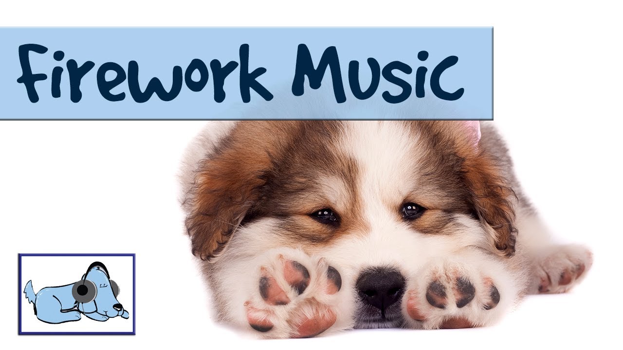 ... music for pets, stop barking in storms, fireworks! - YouTube