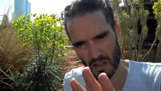 Should we eat vegetables or chocolate? Russell Brand The Trews Ep25