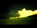 Relaxing and Chillout Music (1 Hour Playlist)