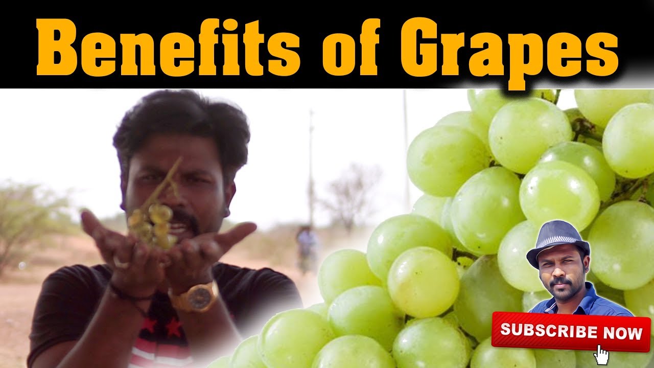 திராட்சை பயன்கள் | Benefits of green grapes | Esh Health Tips