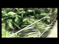 Madrileños por el Mundo - Madrileños por el Mundo: Nicaragua