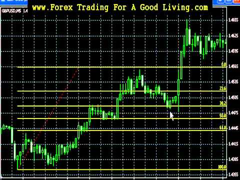 Forex trading news mt5