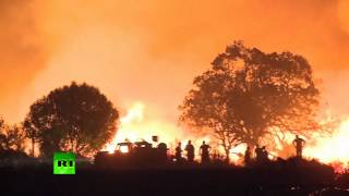 Во власти огня: на Майорке бушуют лесные пожары