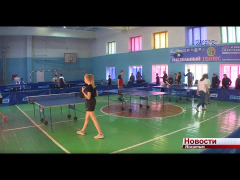 Искитимские школьники сразились в «Президентских спортивных играх»