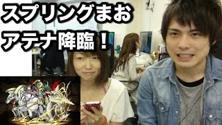 パズドラ【スプリングまお物語】アテナ降臨に挑戦！Part1