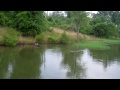 Top Water Largemouth Bass Fishing With Poppers.