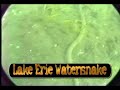Lake Erie Underwater Video
