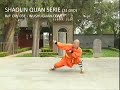 Shaolin Quan par Shi De Jun (Ref.DW-031)