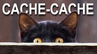 Cache-cache