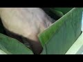 Gói bánh chưng bằng Khuôn