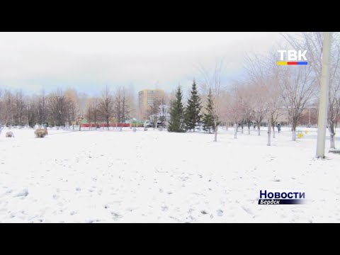 Вырубили старые и посадили молодые деревья в бердском парке в этом году