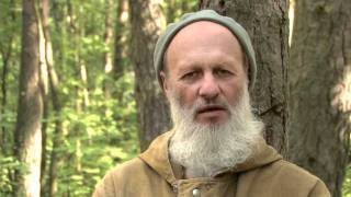 Владимир баженов трейдер