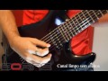 Caixa amplificada Borne Evidence 212