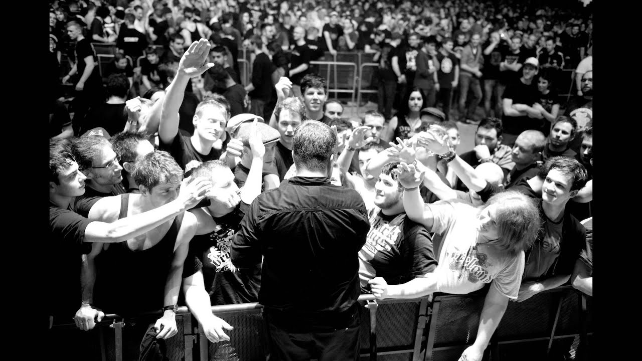 dropkick murphys quot out of our heads quot official music video dropkick murphys quot out of our heads quot official music video