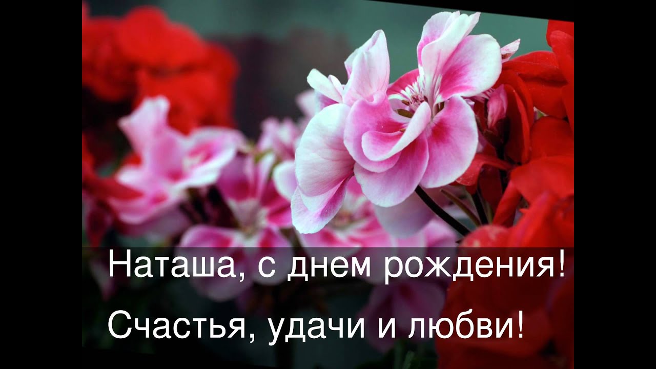 Поздравления с днем рождения в открытках наташе Поздравления с днем рождения в открытках наташе