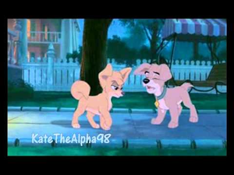 Lilli e Il Vagabondo 2 / Il Re Leone ( CROSSOVER CLIP ITA ) Dedicated ...