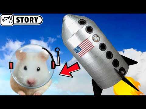 Hamster Maze Spaceship / My Funny Pet Hamster in Rocket Obstacle Course / Spaceship Playground