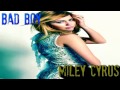 Bad Boy - Miley Cyrus (new Song 2011) - Youtube