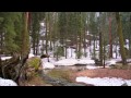 Sequoia & Kings Canyon National Parks