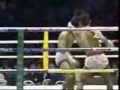 Muay Thai Deadly Skills